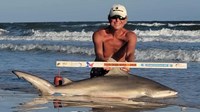 Sharkaholics - David Crain