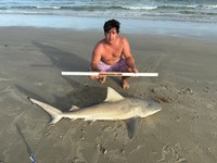 SharkFeenz - Jesse Wagner