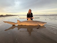 FISH ON CUSTOM LEADERS - Kiah Diaz