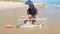 Sharkaholics - Robert Wayne Barnes