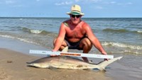 Sharkaholics - Shane Belair