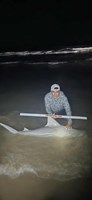 Low Tide Mafia - Ismael Caballero