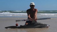 Sharkaholics - David Crain