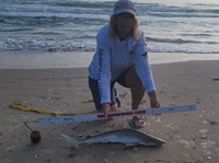 Team Breakaway  - Carol  Cox