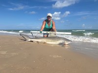 Team JackWagon - Kimberly Collier