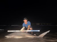 Gulf Gear - Hunter Stevens