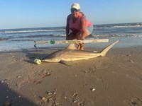 Team JackWagon - Kimberly Collier