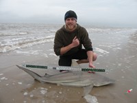 CatchSharks - Matt Hyde