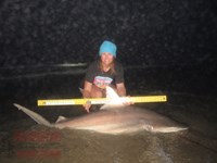 Team Rockstar - Dani Zirkel