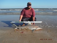 Team Southern Sharkers - Donnie Tidwell