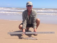 Sharkaholics - David Crain