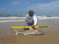 Team Rockstar - James Clark