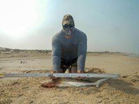 Fishing Locos - Mark Cano