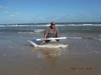 Team Southern Sharkers - Donnie Tidwell