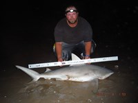 Team Southern Sharkers - Donnie Tidwell