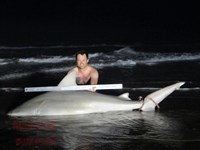 Team Rockstar - Brad Tabor