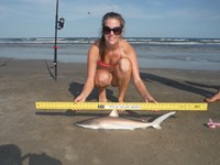 Team Gray-N-White - Miranda Hayden