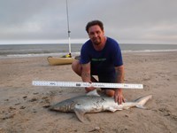 Stacking Gills - Jeremy  Counahan