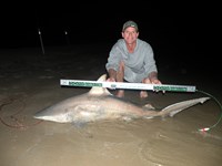 CatchSharks - Steven Kennedy