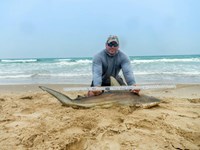 Fishing Locos - Mark Cano