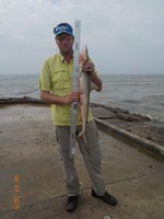 Bolivar Bums - pat zecca