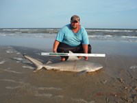 Team Southern Sharkers - Donnie Tidwell