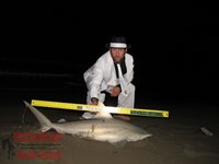 Team Rockstar - James Clark