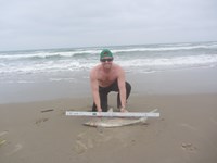 Salt Slingers - Patrick Sciantarelli