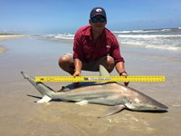 El Pescador - Tomas Barriga