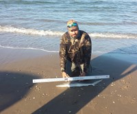 Southern Shark  Outcasts  - Jesse Garza