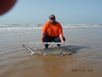 Team Southern Sharkers - Donnie Tidwell