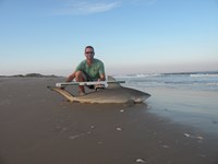 CatchSharks - Steven Kennedy