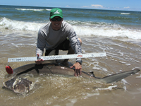 Salt Slingers - Patrick Sciantarelli