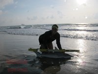 Team Rockstar - Dani Zirkel