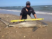 Down South Hook Setters - raul hernandez