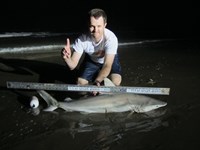 Team Rockstar - Brad Tabor