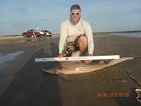 CatchSharks - Nick Williamson