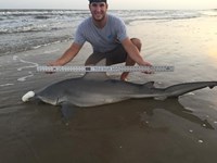 UTC Surf Fishing - Matthew White