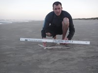 Stacking Gills - josh Counahan