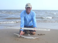 Sharkaholics - David Crain