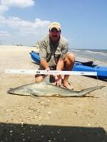 Stacking Gills - Peter  Counahan