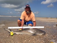 Morton saltwater fishing - Robert Morton