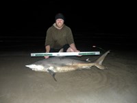 CatchSharks - Matt Hyde