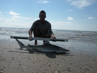 CatchSharks - Steven Kennedy