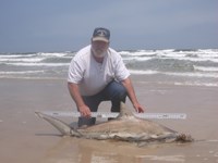 Reel Billies - Ben Gardner