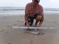 Stacking Gills - David  Counahan