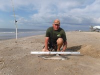 Stacking Gills - David  Counahan