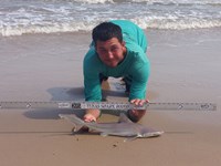 Sharkaholics - Zach Crain