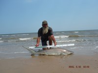 Team Southern Sharkers - David Tidwell