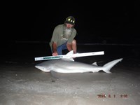 Team Southern Sharkers - David Tidwell